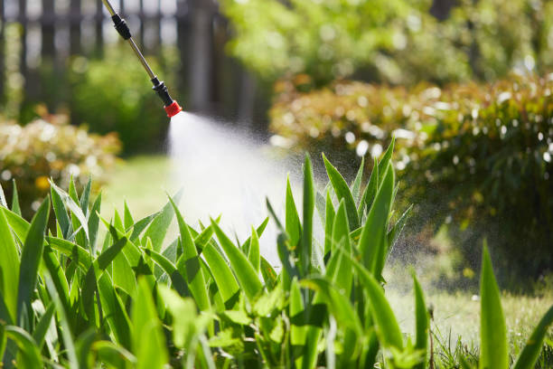 24/7 Emergency Mosquito Control experts in Xenia, OH